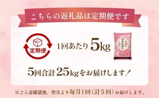 【1ヶ月毎5回定期便】 はるかおり 5kg 計25kg ／ 米 コメ お米 ライス ご飯 ごはん 飯 食品 精米 定期便 常温 福岡県 香春町
