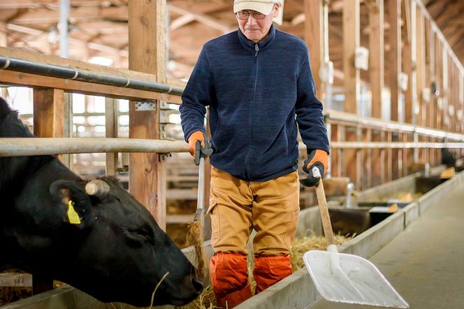 和牛なまはげ モモすきやき 300g 大進農場|23_dsf-040301