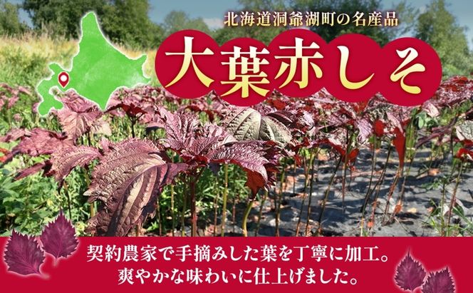 北海道 赤しそ サイダー 230ml×24本 10月末までお届け シソ しそ 大葉赤紫蘇 炭酸 さっぱり ポリフェノール 契約農家 手詰み 産地直送 ピュアフーズとうや 送料無料 飲料類 炭酸飲料 果実飲料 ジュース 