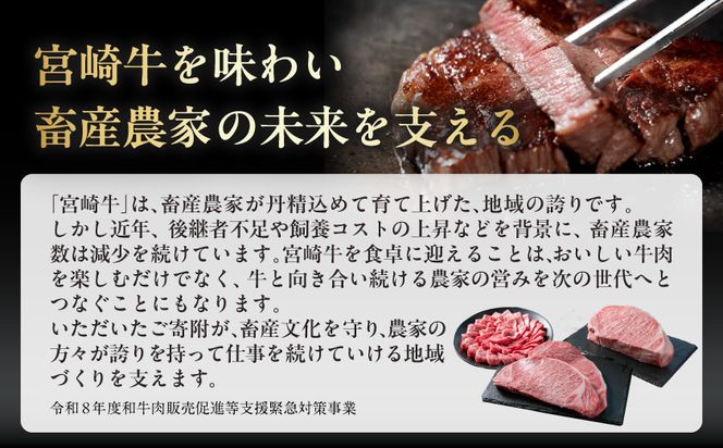 宮崎牛ロース焼肉用 500g_17-N2-013-500g
