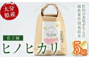 ＜先行予約受付中！2026年11月より発送開始予定＞【令和8年産】減農薬特別栽培米 はなご縁 (計5kg) 米 ひのひかり ヒノヒカリ 精米 白米 大分県産 数量限定 大分県 佐伯市【HD129】【さいき本舗 城下堂】