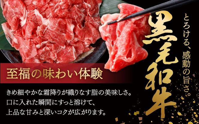 国産 黒毛和牛 熟成肉 切り落とし 500g / 小分け 国産牛 お肉 牛肉 切落し 冷凍 焼肉 すき焼き / 南島原市 / ふるさと企画[SBA094]