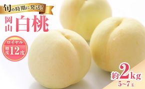 【2026年先行受付】 白桃 特秀 ロイヤル 大玉 約2kg(5～7玉) 岡山県産 桃 もも モモ 御中元 ギフト 御礼 プレゼント 御礼 御祝 御供 果物 くだもの フルーツ