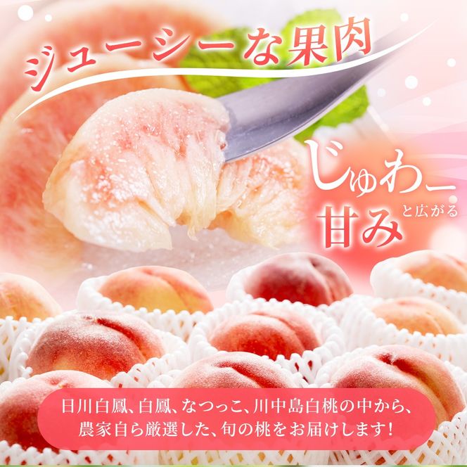 【先行予約】【厳選】あふれる果汁で口いっぱい！ 食べきりサイズ 和歌山県産 桃 3玉 【2026年6月末頃～2026年8月末頃に順次発送予定】（お届け日指定不可）/ 和歌山 桃 モモ フルーツ もも 白桃 果物 くだもの【kgr002】
