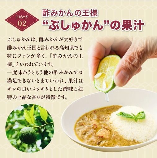 土佐はちきん地鶏 グリーンカレー 9箱 180g チキンカレー おすすめ curry かれー かれーらいす 惣菜 おかず 夕食 詰め合わせ セット レトルトカレー レトルト食品 ご当地グルメ 国産 地域限定 カレー 人気 カレー 辛口 カレーセット 高知県 室戸市
