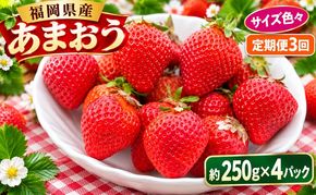 定期便 3回 いちご 発送時期 2027年2月～4月 うるう農園のあまおう サイズ色々 4パック 約1kg 配送不可 離島 果物類 フルーツ 安心 安全 美味しい 食べやすい 