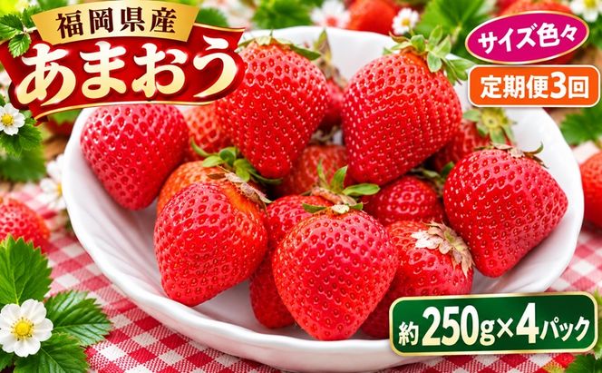 定期便 3回 いちご 発送時期 2027年2月～4月 うるう農園のあまおう サイズ色々 4パック 約1kg 配送不可 離島 果物類 フルーツ 安心 安全 美味しい 食べやすい 