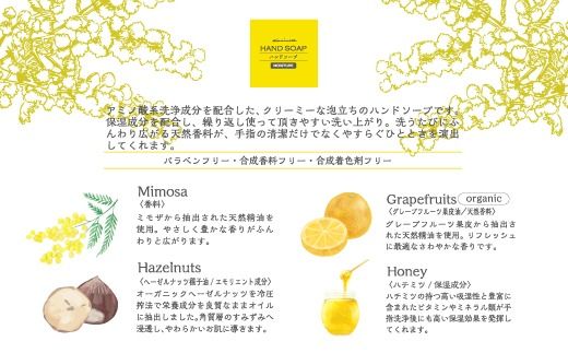 【 ミアミモザ 】【 ギフト箱入 】 ミアミモザ ハンドソープ 50ml 1本 化粧箱 ギフト箱 天然香料 が ふんわり 広がる クリーミー 泡 手洗い 液体 ギフト プレゼント 贈答 美容 コスメ 高知県 高知 四万十市 四万十 しまんと 25-71