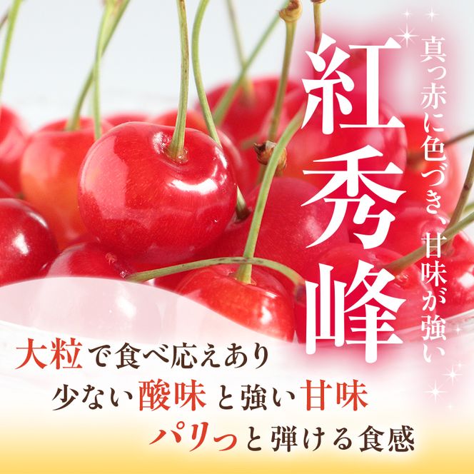  [先行受付] さくらんぼ 紅秀峰 2Lサイズ以上 600g（300g×2パック） 化粧箱入 サクランボ チェリー フルーツ 果物 果物類 ギフト 贈答品 北海道 仁木町 仁木 [小林信幸]