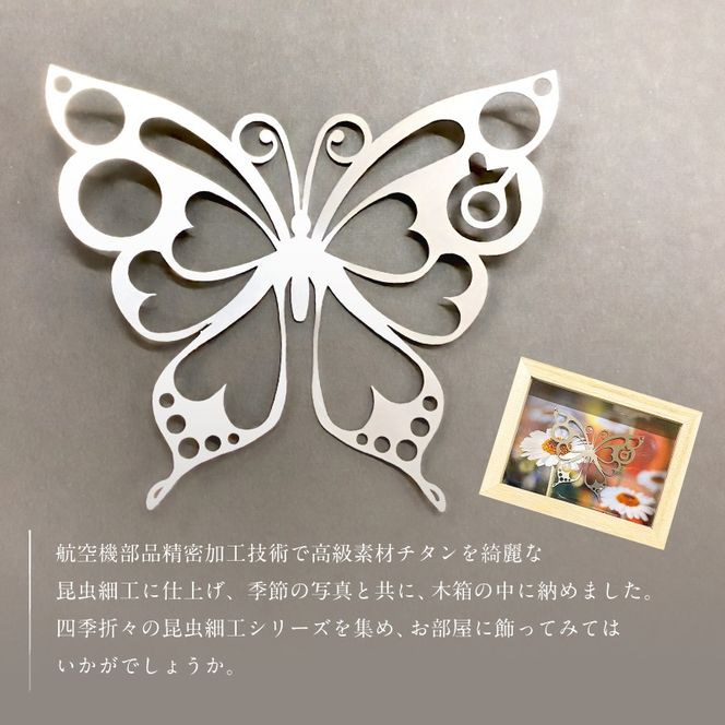 薄板チタン昆虫細工シリーズ（蝶）　【0067-010】