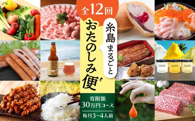 【全12回定期便】糸島まるごとおたのしみ便　寄附額30万円コース（毎月3-4人前）/ 糸島市[AAH018]