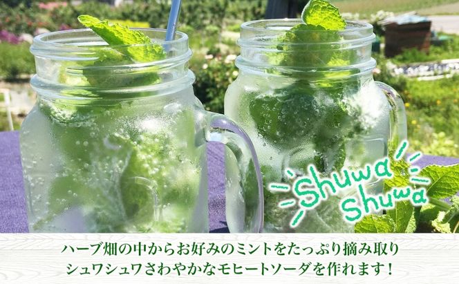 北海道 モヒート ソーダ 作り 体験 ハーブ ミント サイダー ノンアルコール ノンアル オリジナル 天然 リラックス 癒し リラクゼーション 健康 ハーバルランチ 送料無料 洞爺湖 