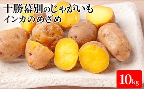【先行予約】十勝幕別のじゃがいも10kg（インカのめざめ）【北海道ホープランド農場】 野菜 