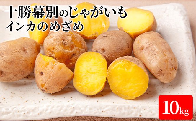 【先行予約】十勝幕別のじゃがいも10kg（インカのめざめ）【北海道ホープランド農場】 野菜 