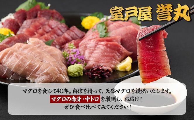 厳選メバチマグロ赤身、中トロ食べくらべ【誉丸】　mh014