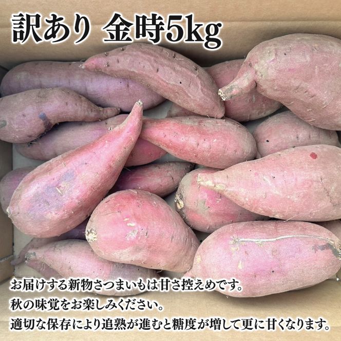 【先行予約】【10月中旬以降より順次発送】訳アリ 茨城県産金時 約5kg｜さつまいも 芋 サツマイモ 金時 訳あり わけあり 茨城県 取手市（AS010-1）