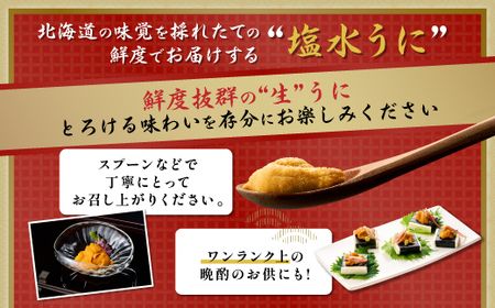 ≪規格外品1kg≫ 無添加　エゾバフンウニ塩水パック1kg　配送期間B：10月下旬〜11月下旬迄 [mh-0250_B]