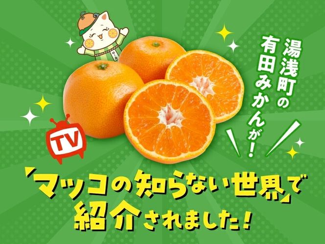 MK1045_2月28日終了！ 最短出荷すぐ届く！みかん Ｍサイズ 秀品 箱込 7.5kg ( 内容量 6.8kg ) 有田みかん 和歌山県産 産地直送 贈答用 【みかんの会】
