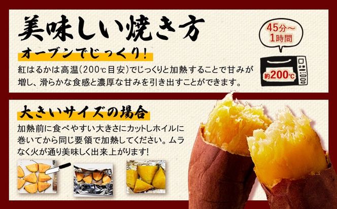 訳あり紅はるか サツマイモ 選べる 1.5kg 3kg 5kg 10kg 《2026年1月上旬-5月末頃出荷予定》紅はるか さつまいも 熊本県 大津町 イモ 芋 さつまいも 訳あり---oz_jsmih_26_af15_3500_1500g---