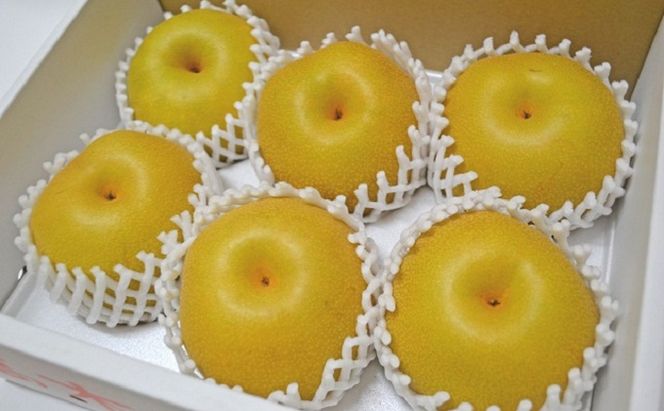 フルーツの里の直売所より 豊水梨 2.5kg ナシ 果物 先行予約 