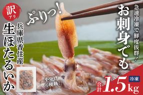 【先行予約】【訳あり ほたるいか 小分け 250g×6パック 1.5kg 香住産 冷凍】令和8年3月以降順次発送開始予定 ホタルイカ いか 生ほたるいか 兵庫県 香美町 香住 日本海フーズ 07-02