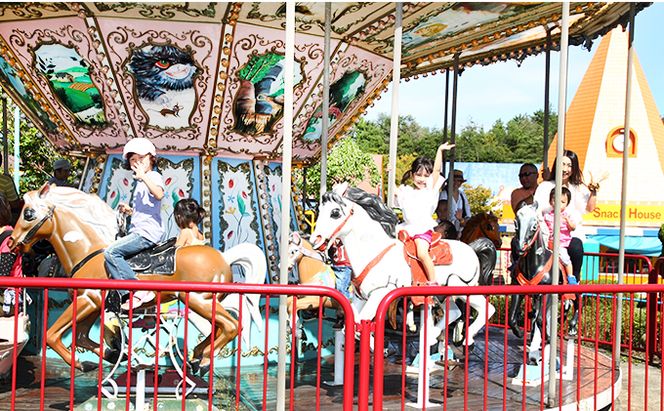 おもちゃ 王国 フリーパス セット 券 （こども、2歳以上） 入場券 チケット  優待券 