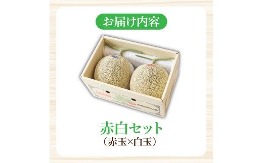 【先行予約】高級土佐アールスメロン2玉入り 〈2027年4月から配送開始〉メロン めろん 赤白セット 赤玉×白玉 3kg以上 舐瓜 果物 くだもの フルーツ デザート スイーツ おやつ 高級 常温 配送【有限会社サクセス】 [BQBA004]