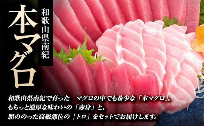 本マグロ（養殖）トロ＆赤身セット　500g［KS12］ 304018_CG1002