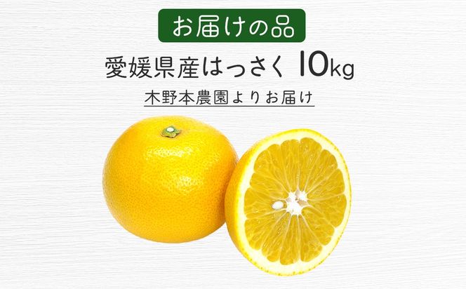 【栽培期間中農薬不使用】【先行受付】【数量限定】農園直送！愛媛県産 はっさく 10kg （2026年2月下旬頃より順次発送） IKTG024