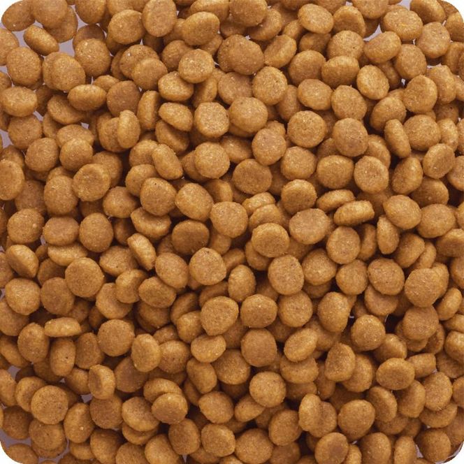 ビタワン 国産チキンのレシピ 10歳以上 150g ケース販売 ペットフード 犬 愛犬 ペット ペット用品 犬用 愛犬用 ごはん 静岡 袋井市