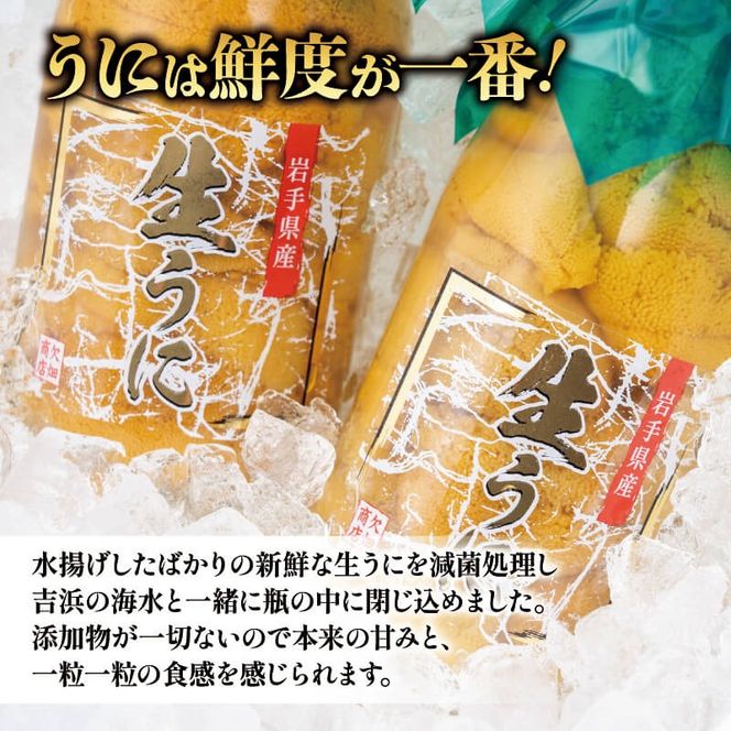 【2026年先行予約】 生うに 牛乳瓶 300g 150g × 2本 ★2026年5月下旬～発送予定★ 無添加 ミョウバン不使用 冷蔵 岩手県 ［ 季節限定 生うに 生雲丹 天然 海鮮丼 寿司 ウニ丼 刺身 ］ [kakehata001_y300]