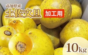 【先行予約】【訳あり】土佐文旦 加工用（M～5L混合）約10kg〈2027年2月中旬〜発送〉/ 文旦 10キロ 約16～30玉 ぶんたん ブンタン 柑橘 果物 フルーツ【株式会社とさもん】