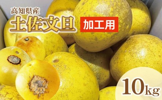【先行予約】【訳あり】土佐文旦 加工用（M～5L混合）約10kg〈2027年2月中旬〜発送〉/ 文旦 10キロ 約16～30玉 ぶんたん ブンタン 柑橘 果物 フルーツ【株式会社とさもん】