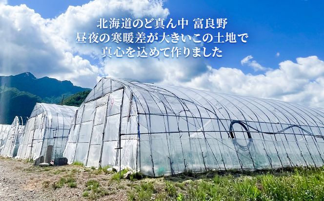 【2026年7月～発送】北海道 富良野産 朝穫り 白い とうもろこし 10本入り (吉中農園) とうもろこし とうきび コーン 野菜 新鮮 甘い ジューシー 贈り物 ギフト 道産 直送 ふらの