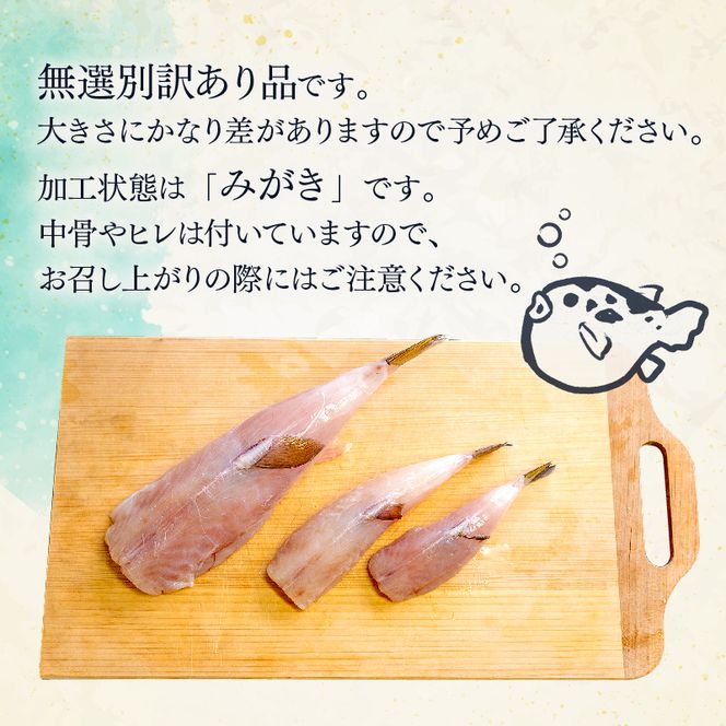 訳あり サバフグ むき身 1kg ( 500g × 2パック ) 小分け 不揃い