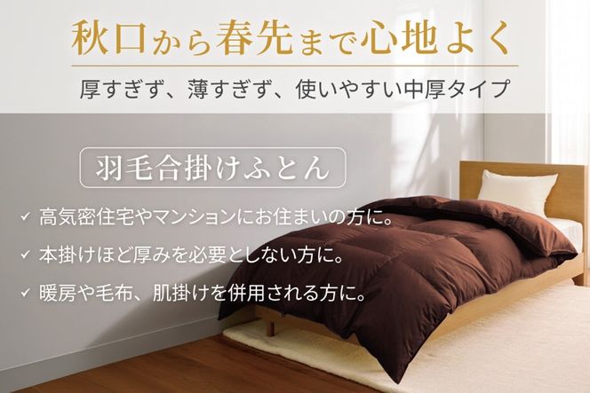 【春秋用】 洗える 羽毛布団 合掛け シングル ホワイトダックダウン85% 0.8kg 無地 ブラウン 中厚 春用 秋用 [川村羽毛 山梨県 韮崎市 20745413] 合い掛け 軽い羽毛 布団 コインランドリー 掛け布団 ダウンかけ布団 ふとん 羽毛ふとん 合掛け布団 エクセルゴールドラベル