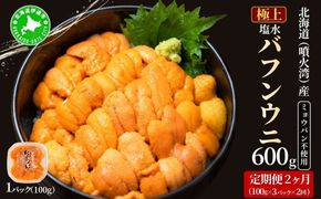 【定期便2カ月】北海道 噴火湾産 塩水 バフンウニ 100g 3パック 《アフター保証付き》うに ウニ 雲丹 海鮮 海の幸 魚介類 ウニ丼 お寿司 濃厚 無添加 産地直送 産直 お取り寄せ 山村水産 送料無料 【55250991】