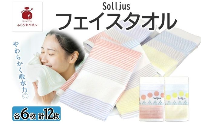 y{򍲖sz020C486 Solljus \[X tFCX^I CG[ bh v12 B^I
