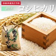 【先行予約】無洗米 令和8年産 コシヒカリ 10kg【 お米 米 コメ 精米 南丹市 】 新米26