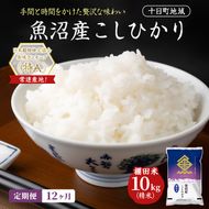 【12ヶ月定期便】魚沼産こしひかり 棚田米(十日町地域) 精米 10kg(5kg×2) 米 お米 コシヒカリ 定期 十日町市
