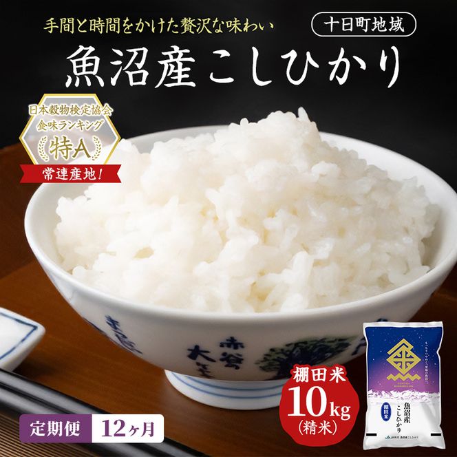 【12ヶ月定期便】魚沼産こしひかり 棚田米(十日町地域) 精米 10kg(5kg×2) 米 お米 コシヒカリ 定期 十日町市