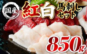 国産 熊本肥育 紅白馬刺しセット 合計850g （赤身700g・コウネ150g） 馬肉 赤身 コウネ たてがみ 刺し身 刺身 新鮮 ヘルシー おつまみ 晩酌 贈り物 真空パック ブロック 冷凍 熊本県 八代市