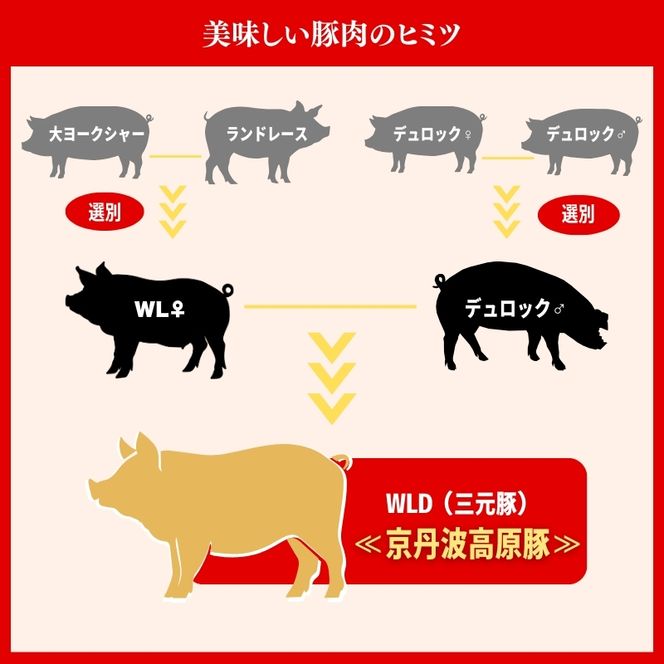 国産豚肉 しゃぶしゃぶ用 ロース肉 1kg 京丹波高原豚 ブランド豚 ブランド豚肉 豚肉 豚 お肉 肉 国産 国産肉 しゃぶしゃぶ しゃぶしゃぶ用 しゃぶしゃぶ用肉 豚しゃぶ 豚しゃぶ肉 豚ロース 豚ロース肉 京都 京都府 南丹市