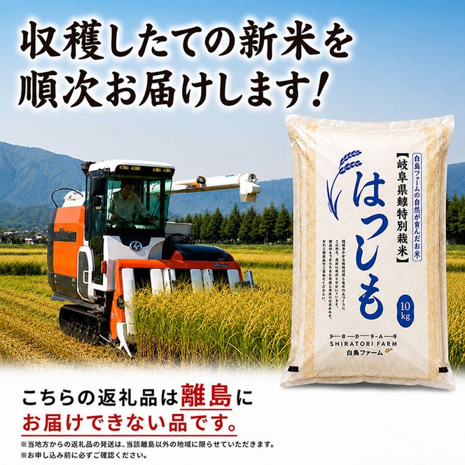 【令和7年産】特別栽培米 20kg【玄米】（ハツシモ）