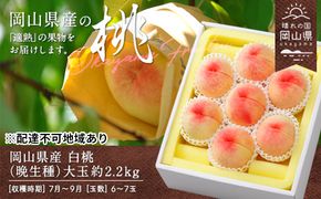 桃 2026年 先行予約 白桃 晩生種 大玉 約2.2kg 6～7玉 もも モモ 岡山県産 国産 フルーツ 果物 ギフト 