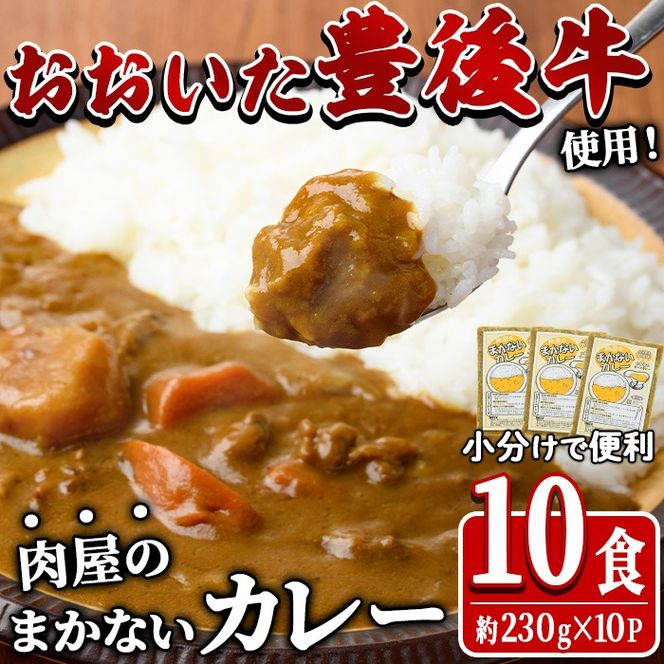 肉屋のまかない 豊後牛 カレー (計2.3kg・230g×10P) レトルト レトルトカレー 簡単調理 湯煎調理 ビーフカレー おおいた豊後牛 ご当地カレー【HE07】【吉野】