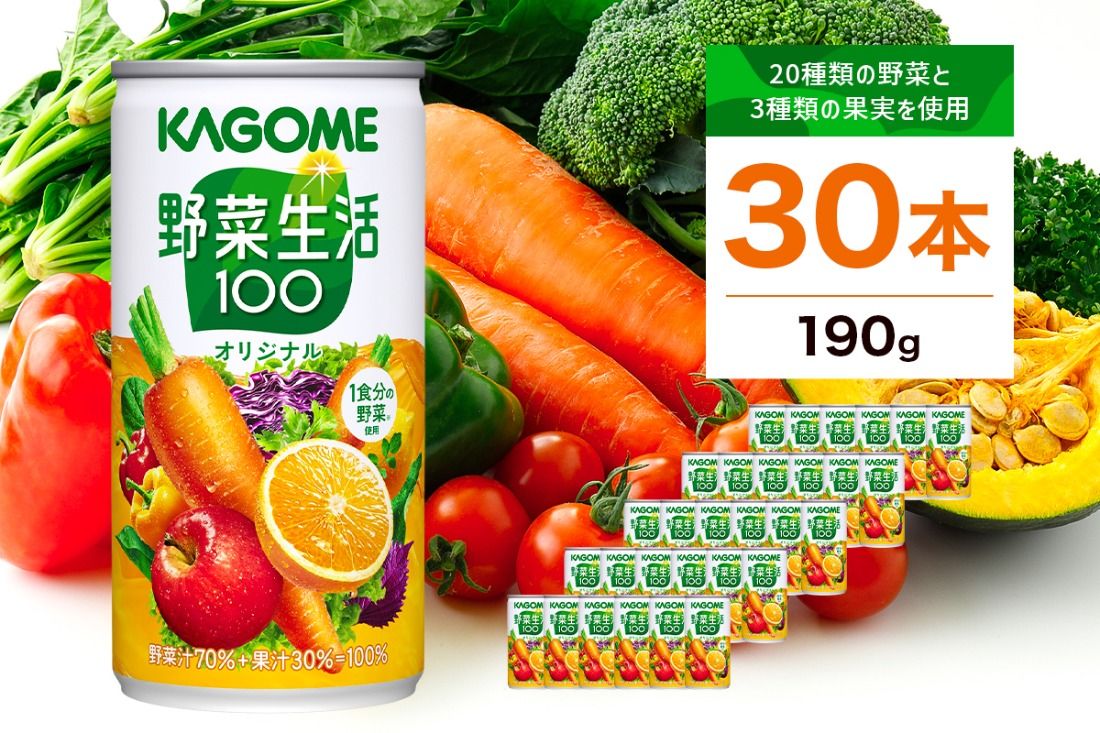 ns111-009-30 カゴメ 野菜生活100 オリジナル 190g 30本