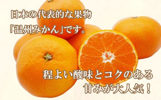 先行予約 訳あり 愛媛みかん 3kg 7000円 愛媛 みかん 温州みかん こたつ みかん mikan 蜜柑 ミカン 家庭用 産地直送 国産 農家直送 糖度 期間限定 数量限定 特産品 ゼリー ジュース アイス 人気 限定 甘い フルーツ 果物 柑橘 先行 事前 予約 受付 ビタミン 美味しい おいしい サイズ ミックス 吉田農園 愛南町 愛媛県