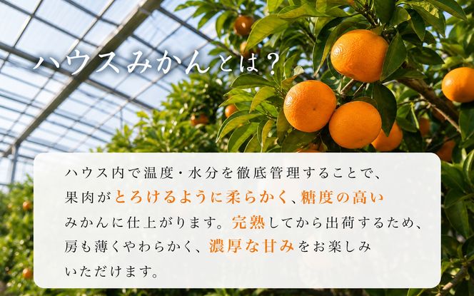 赤秀品　紀州和歌山ハウスみかん2.5kg【予約】※2027年6月末頃〜7月中旬頃に順次発送予定(お届け日指定不可)【uot735B】