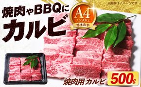 博多和牛 牛肉 焼き肉 バラ （カルビ） 500g 《築上町》【肉のくまもと屋】[ABEZ073]